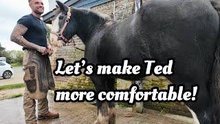 Helping Ted: Shoeing a Horse with Arthritic Knees | Farrier Work in Action