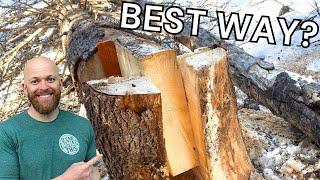 How to Cut Down a Tree | Key Notch Method #woodcutting #stihl #lumberjack