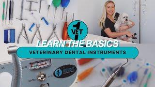 FREE VET NURSE WEBINAR: Veterinary Dental Instruments 🩺 ..... Vet1