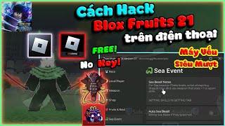 Cách Hack Roblox VNG, Hack Blox Fruits 21 Trên Điện Thoại | Top Menu Vip No Key, Siêu Mượt