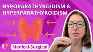 Hypoparathyroidism and Hyperparathryoidism: Medical-Surgical (Endocrine) | @LevelUpRN