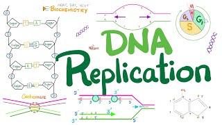 DNA replication in Prokaryotes & Eukaryotes (DETAILED) - Molecular Biology  & Biochemistry 