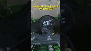 Kawasaki ZX6R 2024 Top SPEED!!! #shorts