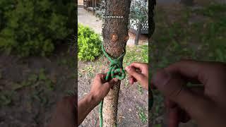 Smart Knot Trick You’ll Actually Use