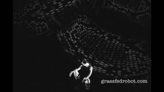 Grassfedrobot - Mylinh Le (PBI/Mudwater)