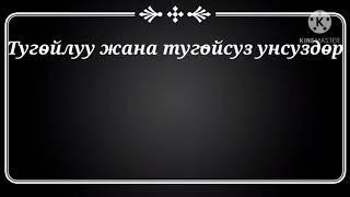 5-кл Унсуздордун болунушу т.