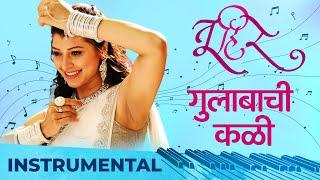 Gulabachi Kali | Instrumental | Vaishali Samant | Amitraj | Tu Hi Re | Swapnil Joshi | Tejaswini P