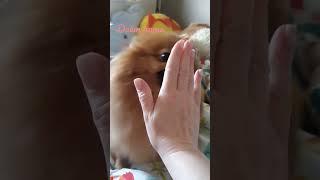даёт пять️️️ #боня #лола