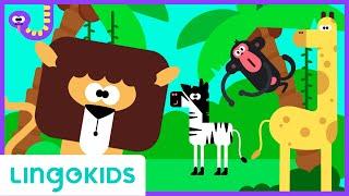 Wild Animals Song  Safari Chants for Preschoolers | Lingokids Music