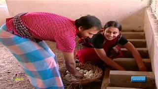 সহজ উপায়ে হাঁস পালন ও ডিম উৎপাদন || Poultry and egg production in easy way