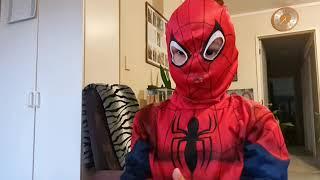 Spiderman costume | SpiderSam for the day | Cecille in Nz