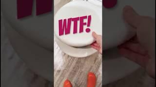WHAT THE F*CK IS IN MY TOILET