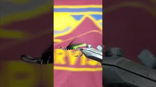 Fly tying a Green Butt salmon fly Trout and Salmon #shots #flytying #trout #salmon