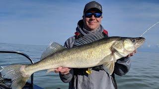 MEGA Walleyes on Lake Erie - In-Depth Outdoors TV Season 13, Episode 22