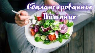 Сбалансированное питание - как построить график питания