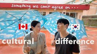 seoul vlog ️ our big cultural difference  korean countryside visit ️ japan trip prep