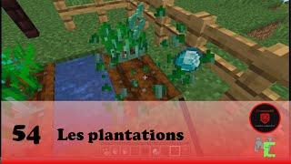 54 - Mcreator: Les plantations