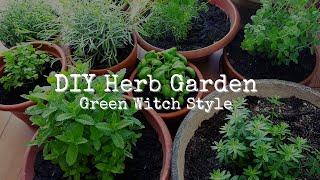 GREEN WITCH Herb Garden | How to start a balcony herb garden