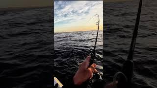 Snippet from my latest video! Watch it here! #fishingaustralia #fish