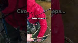 Форель  на спиннинг. #подпишись #кайф #рыбалка #форель #спиннинг
