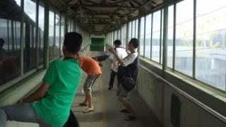 Harlem Shake (No Editors) Vol.3