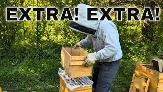 Safely Combining 2 Hives of Bees