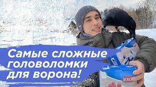 Реакция Гоши на новые игрушки! Не все так просто с птицей.