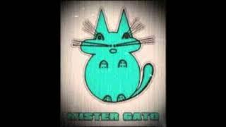 mister gato 26