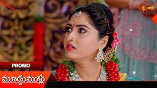 Moodu Mullu- Promo |21 Nov 2024  | Telugu Serial | Gemini TV