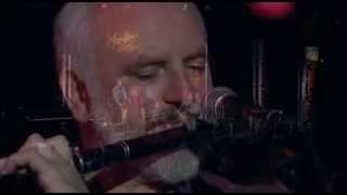 The Chieftains - Matt Molloy Medley