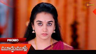 Moodu Mullu- Promo |13 Dec 2024  | Telugu Serial | Gemini TV