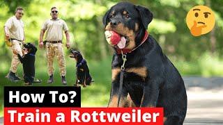 How To Train a Rottweiler puppy learn more about obedience training