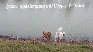 Spaziergang mit tollem Spiel am Do - Ems Kanal