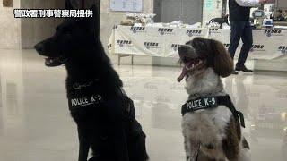 「毒品雜貨店」藏身回收廠內貨櫃屋 緝毒犬神鼻助攻剿破（警政署刑事警察局提供）