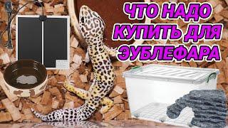 Что надо купить для геккона эублефара?