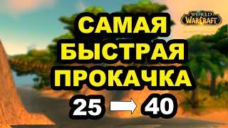 МАКСИМАЛЬНО БЫСТРАЯ ПРОКАЧКА НА СТАРТЕ 2 ФАЗЫ | WoW Classic Season of Discovery