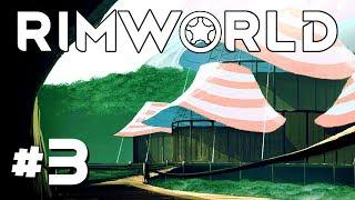 Killing the Blight and Hunger Pains! - Ep. 3 - RimWorld Beta 18 Gameplay