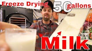 Freeze Drying 50 gallons of Milk  #freezedriedmilk #harvestrightfreezedryer