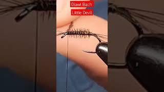 Tying a Little Devil. #flyfishing #flytying #fishing