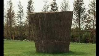 Giuseppe Penone