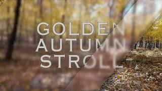 Golden autumn stroll- a peaceful cinematic walk