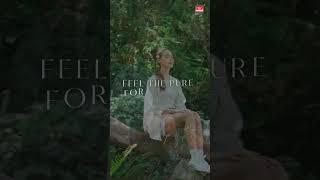  Wild Forest Masala Incense Sticks – Elevate Your Pooja & Meditation | Yog Mantra