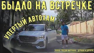 Быдло на встречке #185! Подборка на видеорегистратор!