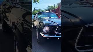 Mustang Black on Black 1967 форд мустанг #musclecar