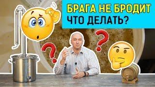 Брага не бродит. Кто виноват и что делать?