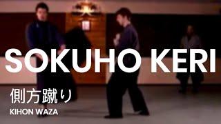 Taijutsu: Sokuho keri 側方蹴り Basic side kick