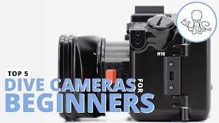 Best SCUBA Diving Camera for Beginners