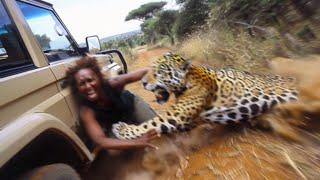 20 Instances When African Safari Trips Went Horribly Wrong