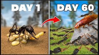 Simulating an Antcolony for 60 DaysThis Is What Happened! ANTTREK