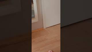 GENTLE FULL BODY STRETCH WITH YOGA FLOW | At Home with Lori